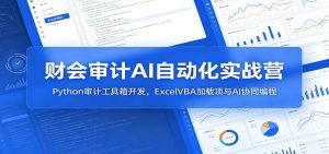 财会审计AI自动化实战营：Python审计工具箱开发，ExcelVBA加载项与AI协同编程-大象聊项目