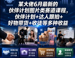 某大佬6月最新的伙伴计划图片类赛道课程，伙伴计划+达人跟拍+好物带货+收徒等多种收益-大象聊项目