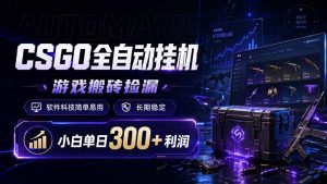 CSGO全自动挂机，游戏搬砖捡漏，软件科技简单易用，长期稳定，小白单日300+利润-大象聊项目