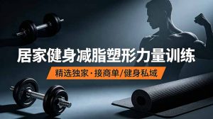 抖音健身热门短视频教学：居家健身减脂塑形力量训练，精选独家，接商单或者健身私域-大象聊项目