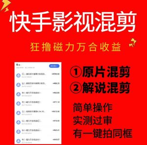 快手影视混剪项目，狂撸磁力万合收益，简单操作，实测过审，有一键拍同框，单日收益500+-大象聊项目