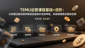 TEMU运营课程(基础+进阶-大象聊项目