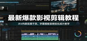 最新爆款影视剪辑教程：大V内部实操干货，字幕模板音频优化成片教学-大象聊项目