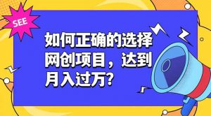 如何正确的选择网创项目，达到月入过万？，本课程教你正确选择项目。-大象聊项目