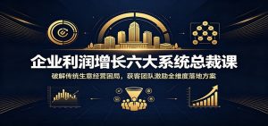 企业利润增长六大系统总裁课：破解传统生意经营困局，获客团队激励全维度落地方案-大象聊项目