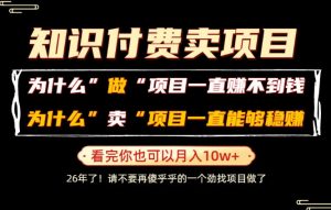 普通人为什么能够靠卖项目轻松月入10W+,而做项目却容易成炮灰,卖项目为什么能够稳賺不赔?【揭秘】-大象聊项目
