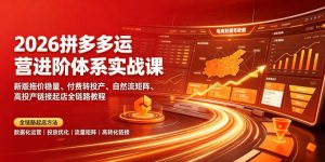 2026拼多多运营进阶体系实战课｜新版拖价稳量、付费转投产、自然流矩阵、高投产链接起店全链路教程-大象聊项目