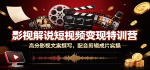 影视解说短视频变现特训营：高分影视文案撰写，配音剪辑成片实操-大象聊项目