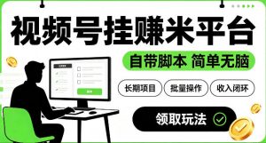 最新视频号挂G賺米平台，自带脚本，长期能做，简单无脑【揭秘】-大象聊项目