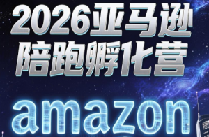 跨境米亚·亚马逊陪跑孵化营(更新7月)-大象聊项目