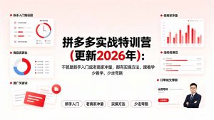 拼多多实战特训营(更新2026年-大象聊项目