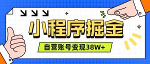 微信小程序掘金，团队自营小程序累计变现38W+，稳定运营三年，一部手机即可操作-大象聊项目