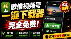 手机端也可下载微信视频号了?完全免费使用,一键解析视频号原视频和封面视频号下载助手v1.1-大象聊项目
