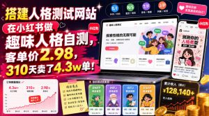 搭建人格测试网站在小红书做趣味人格自测,客单价2.98,310天卖了4.3w单!-大象聊项目