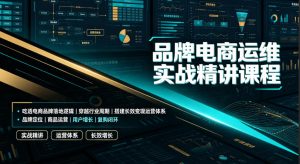 品牌电商运维实战精讲课程｜吃透电商品牌落地逻辑、穿越行业周期、搭建长效变现运营体系-大象聊项目