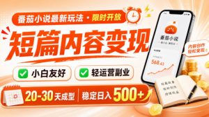 番茄小说最新短篇玩法，稳定日入500+！副业必看，小白可玩，限时开放【揭秘】-大象聊项目