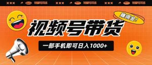 视频号带货，一部手机即可日入1000+，无人直播玩法轻松躺赚带货佣金-大象聊项目
