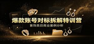 爆款账号对标拆解特训营:首饰类目商业案例分析,配套完整资料内容-大象聊项目