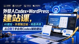 外贸人Codex+WordPress建站课,AI建站·外贸独立站·询盘承接,从0到1学会用Codex辅助建站-大象聊项目