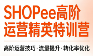 梦凡老师·Shopee虾皮高阶运营课程(更新)-大象聊项目