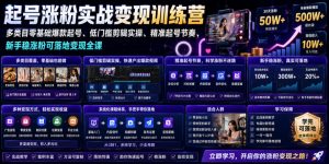 苗子起号涨粉实战变现训练营,多类目零基础爆款起号、精准起号节奏、新手稳涨粉可落地变现全课(更新0719)-大象聊项目