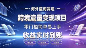 海外蓝海赛道 跨境流量变现项目 收益实时到账 零门槛简单易上手-大象聊项目