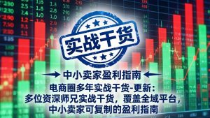 电商圈多年实战干货-更新2026:多位资深师兄实战干货/覆盖全域平台,中小卖家可复制的盈利指南-大象聊项目