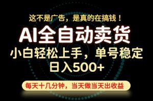 这不是广告,是真的在搞钱!当天做,当天变现,单号日入稳定500+,长期稳定可做!【揭秘】-大象聊项目