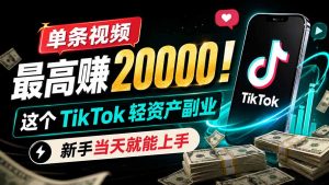 单条视频最高赚 20000!这个 TikTok 轻资产副业,新手当天就能上手-大象聊项目