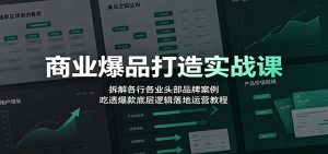 商业爆品打造实战课：拆解各行各业头部品牌案例，吃透爆款底层逻辑落地运营教程-大象聊项目