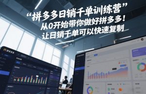 拼多多日销千单训练营,从0开始带你做好拼多多,让日销千单可以快速复制(更新26年7月)-大象聊项目