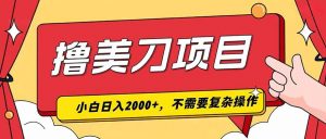 撸美刀，单日收入2000+，小白可做-大象聊项目