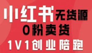 小红书无货源0粉电商课,开店准备、选品策略、笔记撰写、视频剪辑、数据分析、账号打造、资料文档(更新26年7月24日)-大象聊项目