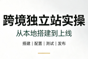 跨境独立站实操:从本地搭建到上线-大象聊项目