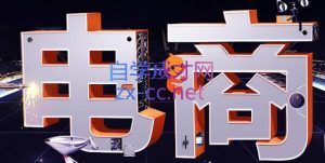 幕思城·淘宝培训VIP课程(更新7月)-大象聊项目