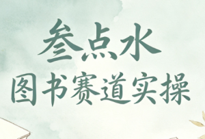 叁点水图书赛道实操-大象聊项目