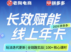 拼多多线上SVIP线上年卡,从认知到基础、从推广到活动、从活动到玩法,全链路实战(260730)-大象聊项目