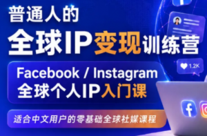 建立海外社媒底层逻辑，打造能变现的个人IP-大象聊项目