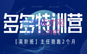 纪主任·拼多多特训营(更新8月)-大象聊项目
