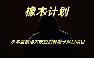 橡木计划,小投入撬动高回报的风口野路子项目,一天投入2小时左右-大象聊项目