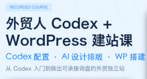 大卫·外贸人Codex + WordPress建站课(更新8月)-大象聊项目