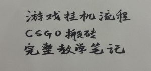 游戏挂机全流程笔记分享，CSGO游戏搬砖，小白看了当天学会见收益-大象聊项目