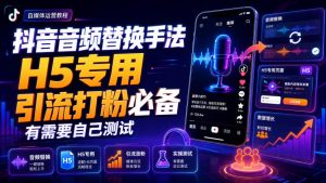 抖音音频替换手法H5专用，引流打粉必备，有需要自己测试-大象聊项目