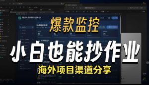 抖音爆款数据监控工具_海外网盘拉新渠道-大象聊项目