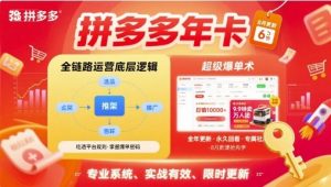 拼多多年卡，拼多多全链路运营底层逻辑，超级爆单术【更新26年8月】-大象聊项目