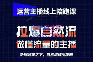 猴帝1600线上课(更新8月)-大象聊项目