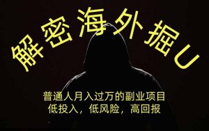 解密海外掘U，普通人月入过万的副业项目，低投入、低风险高回报，没有之一-大象聊项目