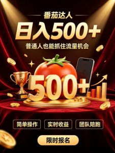 番茄达人日入500+？普通人也能参与？做番茄达人真的可行？零门槛番茄推文，新手也能上手做达人【揭秘】-大象聊项目