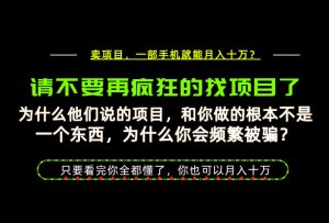 为什么做项目的人大多都是炮灰?为什么只有卖项目才能稳?看完你也可以月入10W+【揭秘】-大象聊项目
