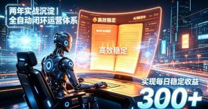 两年实战沉淀|全自动闭环运营体系,实现每日稳定收益300+【揭秘】-大象聊项目